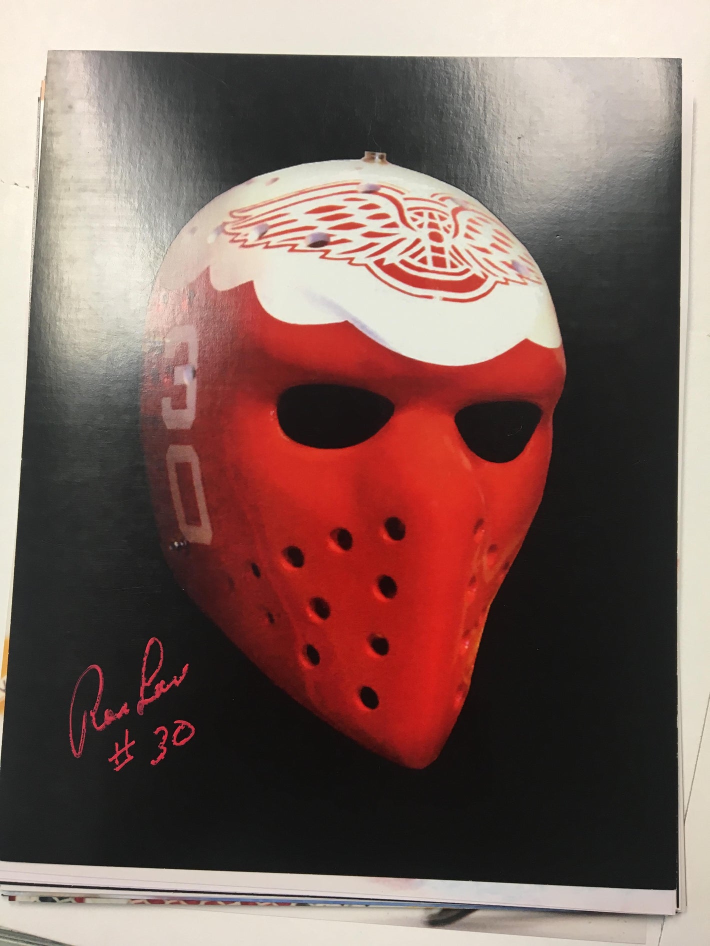 Ron Low Signed 8x10 Colour Photo - Detroit Red Wings Mask - PastPros