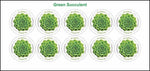 10 USA International Forever Stamps (for International Customers)